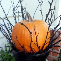 twigs, sticks, branches, black pot, pumpkin, Halloween, porch, decorations
