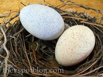 How do you like your eggs? (A faux Robin’s egg tutorial.)