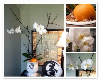 Orchids can celebrate Halloween too…