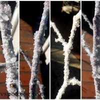 icy, frosty, branches, frosted branches, frost, winter, white