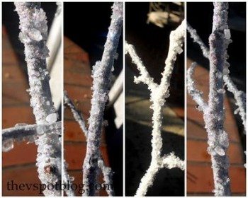 icy, frosty, branches, frosted branches, frost, winter, white