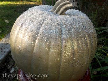 The Last Pumpkin of the Year. (Make a frosty pumpkin for your winter decor.)