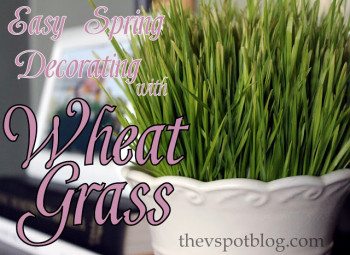 Using Wheat Grass for Spring Decor. (For less than $2)
