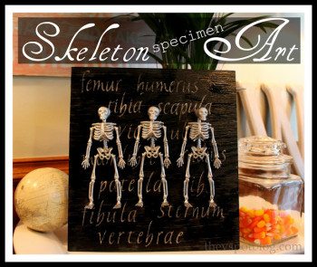 Skeleton “specimen” art, thanks to spray paint and Dollar Store skeletons.