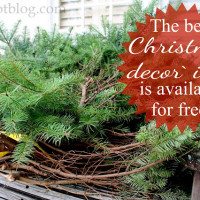 clippings, Christmas trees, branches, greenery