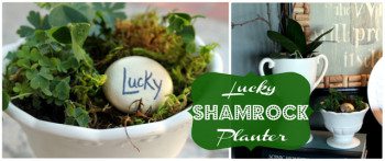 A lucky shamrock planter for St. Patrick’s Day.