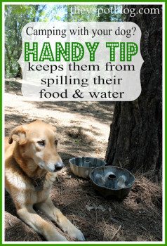 A handy tip to keep your dog from spilling water and food. (Especially great for camping.)