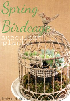 A spring birdcage planter.