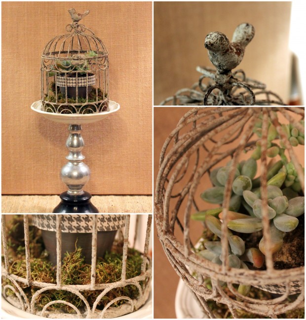 birdcage succulent planter for Michaels