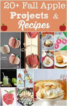 20+ Fall Apple Projects & Recipes