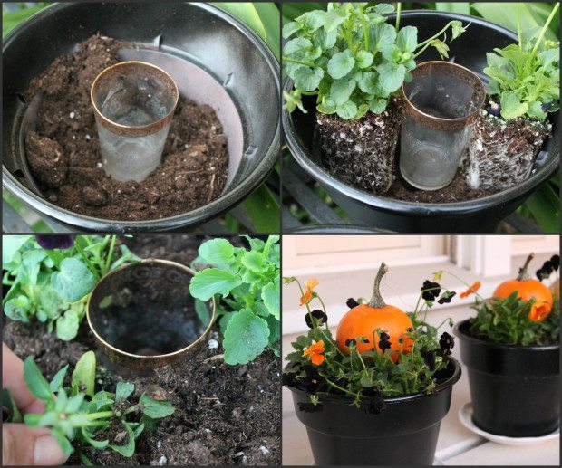 How to create a pumpkin planter