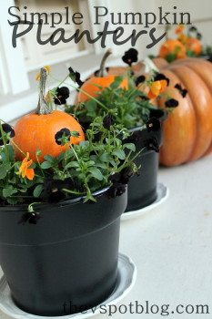 Simple Pumpkin Planters.